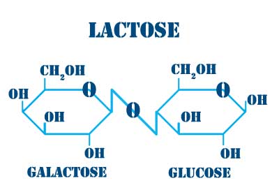 glucose and lactose