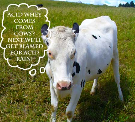 MooScience: Acid whey protein comes from cow milk.
