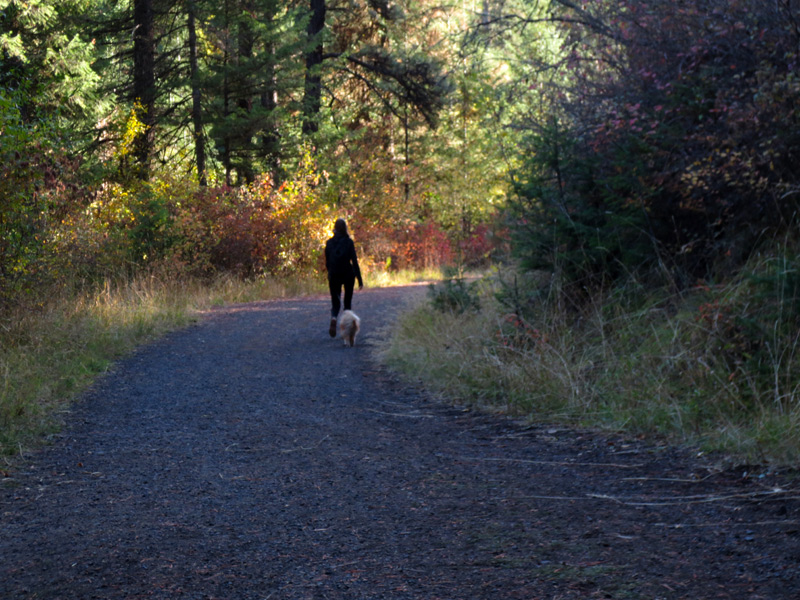 Woman walks dog in fall. 